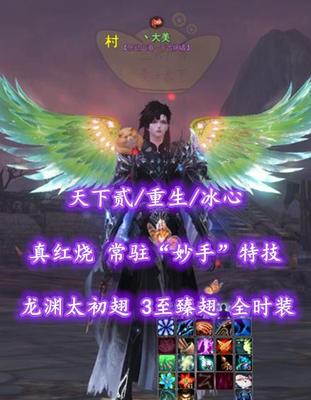 【天下贰/重生/冰心】真红烧！常驻“妙手”特技！龙渊太初翅！3至臻翅！全时装+全坐骑+全武魂——丶大美