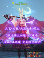 【天下4启程/天荒地老/荒火（会心）】2代龙渊太初翅！全8妙品退魔！完美附伤炼化！3大珠子——风战云