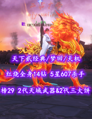 【天下贰经典/梦回/天机（会心）】榜29天机！73级！2代天域武器&2代三大饼！红烧全身14钻！5星607杀手！“业火+青花”时装——丿灬老九