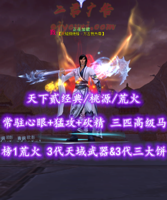 【天下贰经典/桃源/荒火（重击）】榜1荒火！75级！13件15钻！3代天域武器&3代三大饼！常驻心眼+猛攻+砍精！三匹高级马！帝宸+开阳+青花时装——正在加载