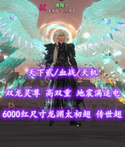 【天下贰/血战/天机（念小攻+双重）】6000红尺寸龙渊太初翅+传世翅！双龙灵尊！高双重+地震满追电——清辉丶