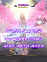 【天下贰/重生/太虚（会心）】四金龙渊太初翅！第1法攻！超值之选——昨夜枫满楼