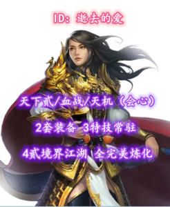 【天下贰/血战/天机（会心）】2套装备+3特技常驻+4贰境界江湖！！——逝去的爱