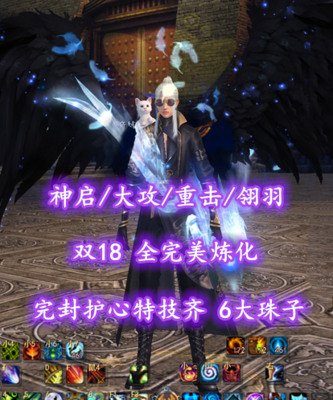 【神启/大攻/重击/翎羽】双18！全完美炼化！完封护心特技齐！6大珠子！超值性价比——乄唐小虎丶