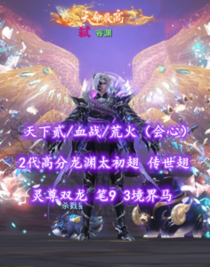 【天下贰/血战/荒火（会心）】2代高分龙渊太初翅+传世翅！灵尊双龙！笔9！3境界马！梦中情号——睿渊