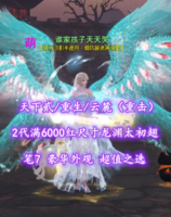 【天下贰/重生/云麓（重击）】2代满6000红尺寸龙渊太初翅+豪华外观！超值之选——谁家孩子天天哭