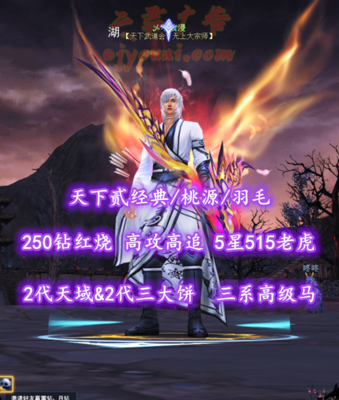 【天下贰经典/桃源/羽毛】250钻红烧！高攻高追！2代天域&2代三大饼！5星515老虎！三系高级马——乄不浪漫