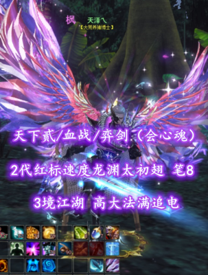 【天下贰/血战/弈剑（会心魂）】2代红标速度龙渊太初翅！3境江湖！笔8！高大法满追电——天泽乀