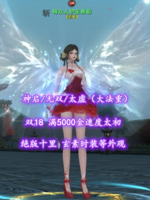 【神启/无双/太虚（大法重）】双18！满5000金速度太初！绝版十里+玄素时装等外观！超值之选——将众人护至身前