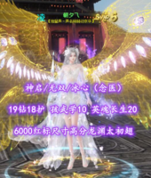 【神启/无双/冰心（念医）】19钻18护！6000红标尺寸高分龙渊太初翅+海量外观！孩武学10+英魂长生20+全顶级细节——朝夕乁