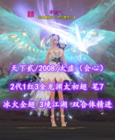 【天下贰/2008/太虚（会心）】2代1红3金龙渊太初翅！冰火全翅！笔7！3境江湖！双合体精进——不忘乀