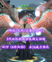 【神启/无双/云麓（会心）】双19（6件双20）！全16完美技能威力炼化！2代双红标高分龙渊太初翅——烬余书