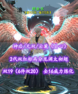 【神启/无双/云麓（会心）】双19（6件双20）！全16完美技能威力炼化！2代双红标高分龙渊太初翅——烬余书