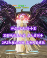 【神启/龙巫/念小重】2025现役名人堂+名人堂副手！2代3红标龙渊太初翅！完美两套属性——林寻鹿丶