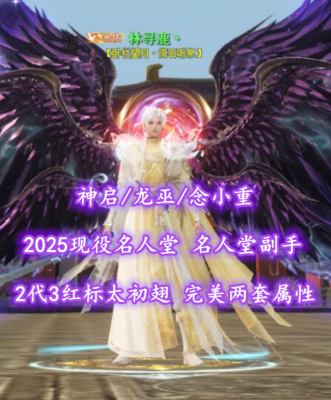 【神启/龙巫/念小重】2025现役名人堂+名人堂副手！2代3红标龙渊太初翅！完美两套属性——林寻鹿丶
