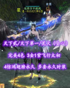【天下贰/天下第一/荒火（会心）】完美4色！3金1紫飞行太初、4惊鸿翅膀永久+染色！多套永久时装——化作万千的风