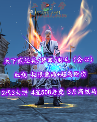 【天下贰经典/梦回/羽毛（会心）】红烧！极限骤雨+超高附伤！2代3大饼！4星508老虎！3系高级马——浩洋丶