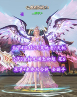 【天下4启程/天荒地老/天机】2代3金标龙渊太初翅！花草+老虎双合体！笔6！金副手——灬醉梦乄