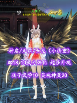 【神启/无双/女龙（小法重）】双18！10威力炼化！孩子武学10！英魂神灵20——天胡子