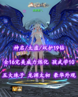 【神启/太虚（会心魂）】双护19钻！全16完美威力炼化！孩武学10！五大珠子——茶懟懟乀