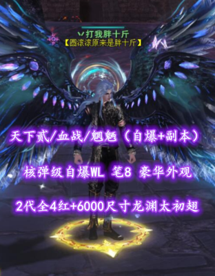【天下贰/血战/魍魉（自爆+副本）】核弹级自爆WL！笔8！2代全4红+6000尺寸龙渊太初翅+豪华外观——丷打我胖十斤