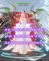 【神启/无双/冰心（战场套/念医）】双20！高分龙渊太初翅+传世翅！孩武学10！英魂长生21——那里有只福宝啊