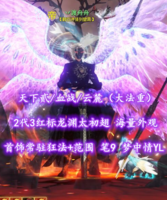 【天下贰/血战/云麓（大法重）】2代3红标龙渊太初翅！首饰常驻“狂法+范围”！笔9！梦中情YL——丷渡舟舟