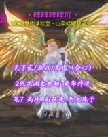 【天下贰/血战/太虚（会心）】2代龙渊太初翅！豪华外观！笔7！高攻+高双速——丶咩咩咩咩吖丶