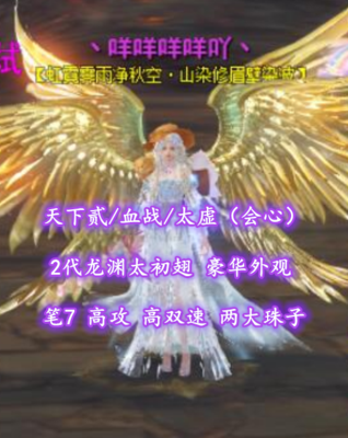 【天下贰/血战/太虚（会心）】2代龙渊太初翅！豪华外观！笔7！高攻+高双速——丶咩咩咩咩吖丶