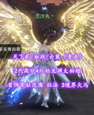 【天下贰/血战/云麓（重击）】2代高分4红标龙渊太初翅！首饰常驻范围+狂法！3境界火马——豆沙丸